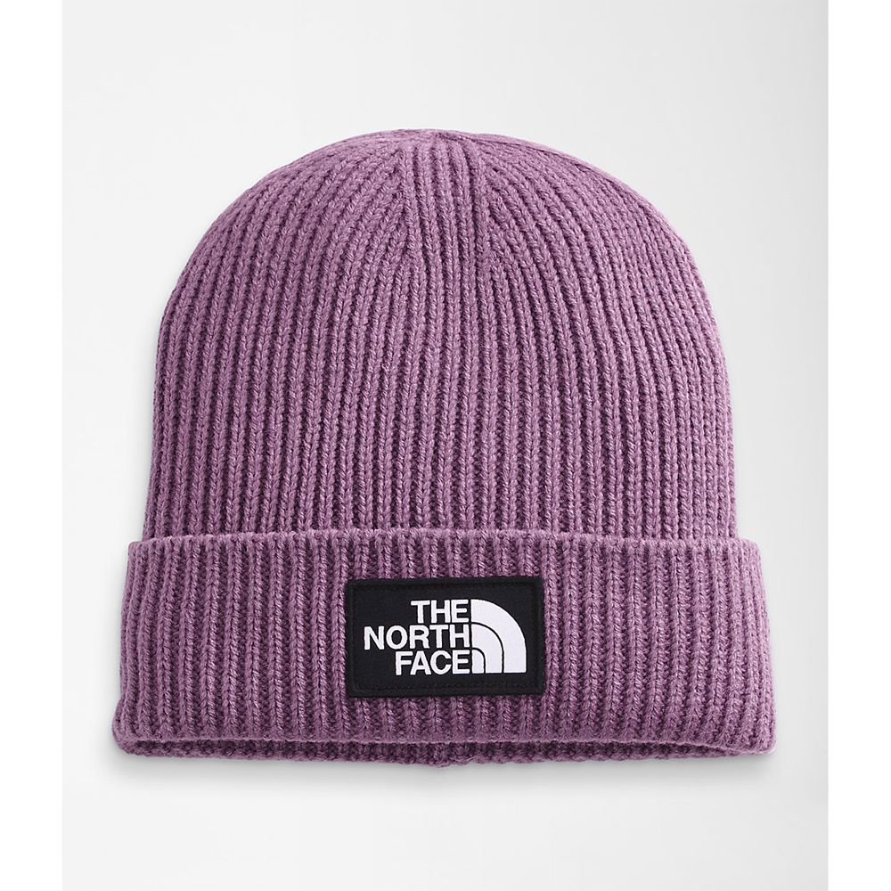 The North Face Beanies Mens Australia - The North Face Tnf™ Logo Box Cuffed Purple (AUL-359621)